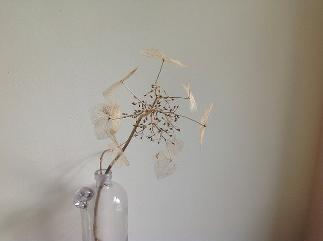 Hoe lang zijn droogbloemen houdbaar?