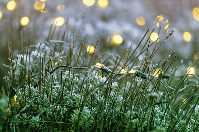 Kan LED verlichting ook buiten?