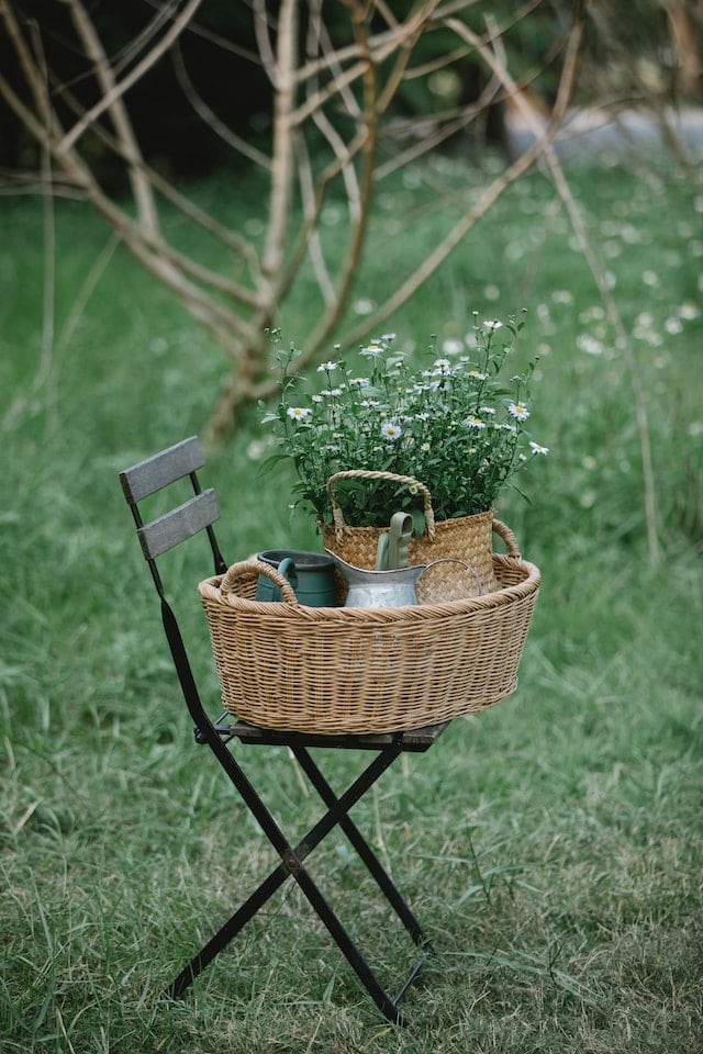 Creëer de meest ideale tuin!